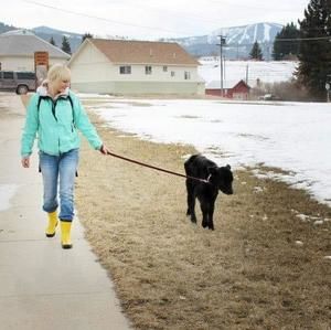 Meet your Posher, Mary